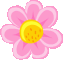 flor-rosa